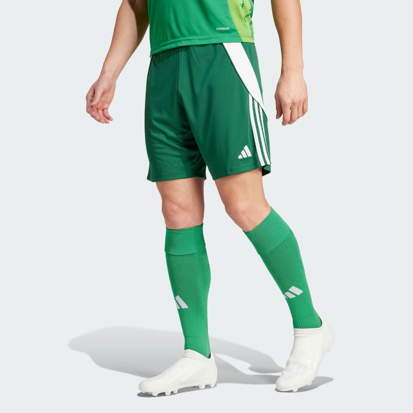 Shorts adidas Performance Tiro 24 Grön | IS1410