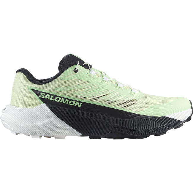Sneakers och skor Salomon Pulsar Grön | L47973600