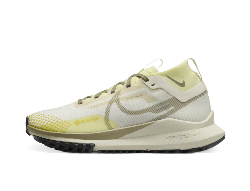 Sneakers och skor Nike trailové Pegasus Trail 4 GORE-TEX Grå | DJ7929-101