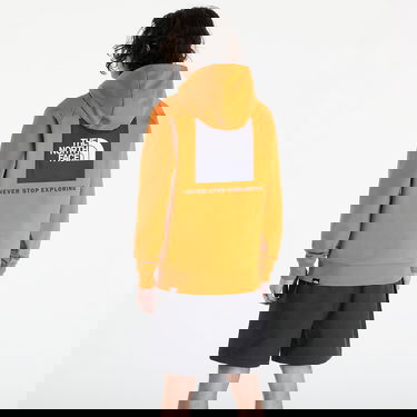 Sweatshirt The North Face Raglan Red Box Hoodie Desert Rust Orange | NF0A2ZWUPCO1, 2