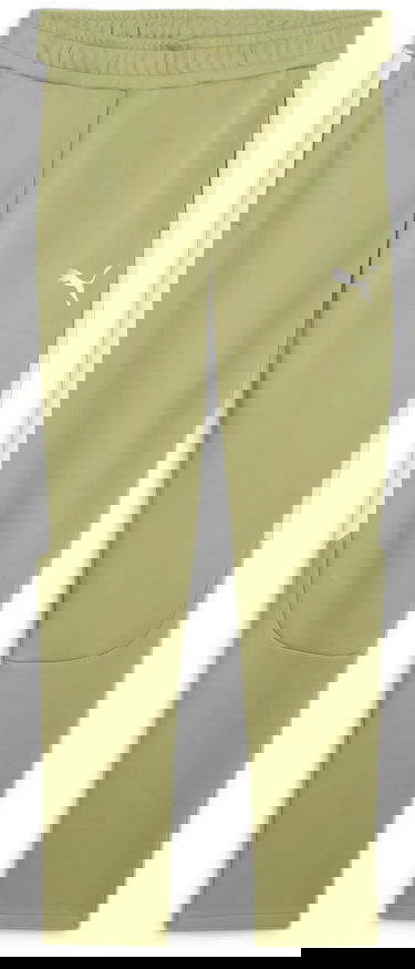 Träningsbyxor Puma teamEVOSTRIPE Track Pants Grön | 659948-40, 0