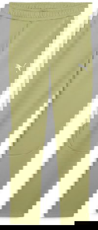 teamEVOSTRIPE Track Pants