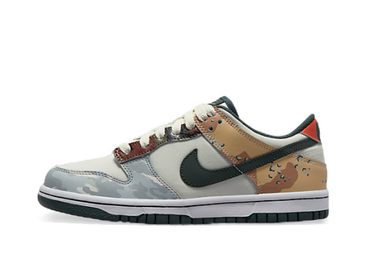 Sneakers och skor Nike Dunk Low SE "Sail Multi-Camo" GS Flerfärgad | DB1909-100
