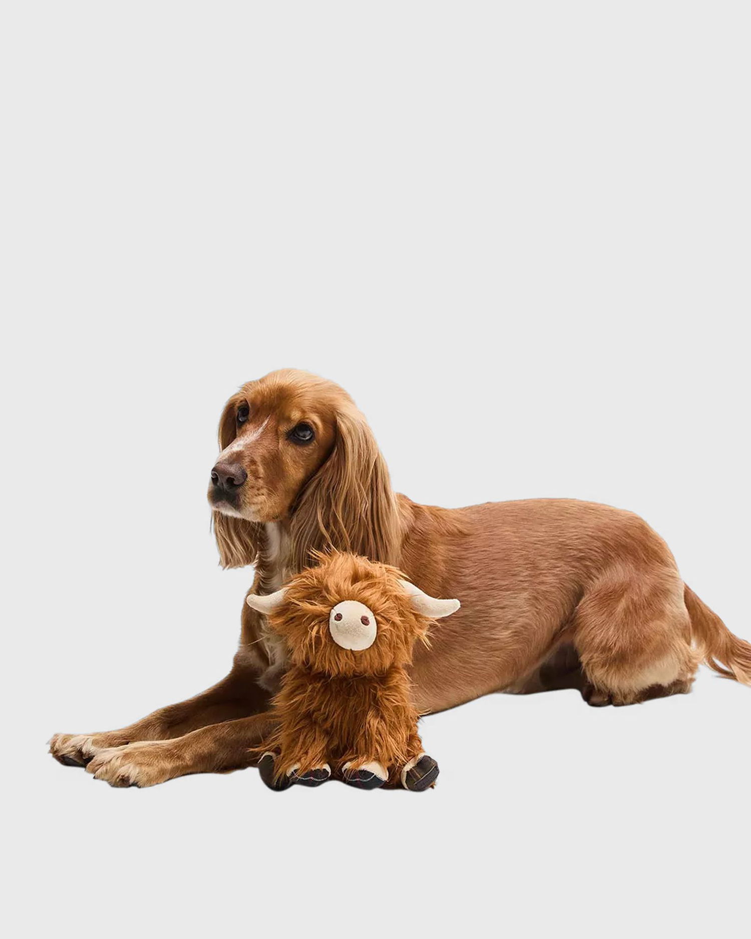 Spel Barbour Highland Cow Plush Toy Brun | DAC0114BR11, 1