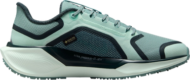 Sneakers och skor Nike Pegasus 41 GORE-TEX Turkos | fq1357-003, 3