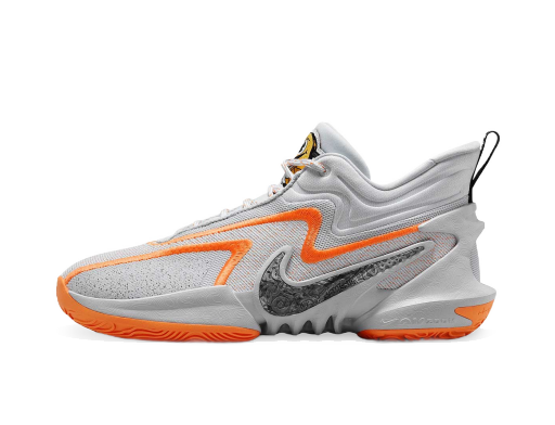 Basketboll Nike COSMIC UNITY 2 UNIVERSITY Grå | DH1537-004