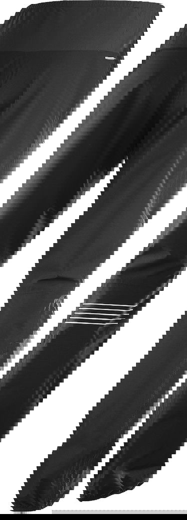 Byxor Salomon BONATTI WP PANT Svart | l39392500, 1