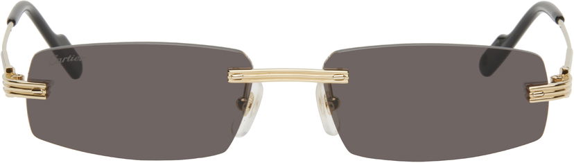 Solglasögon Cartier Cartier 'Première de Cartier' Sunglasses Grå | CT0535S-001