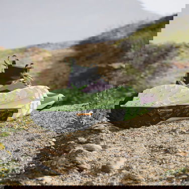 Sneakers och skor adidas Performance Terrex Free Hiker 2.0 Purpur | IE5119, 2