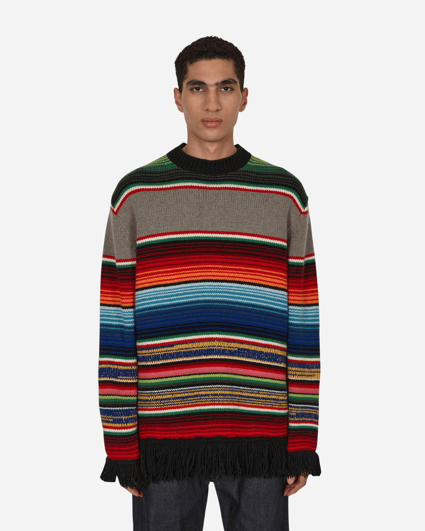 Sweater Junya Watanabe Fringe Striped Crewneck Sweater Flerfärgad | WJ-N009-W22  1