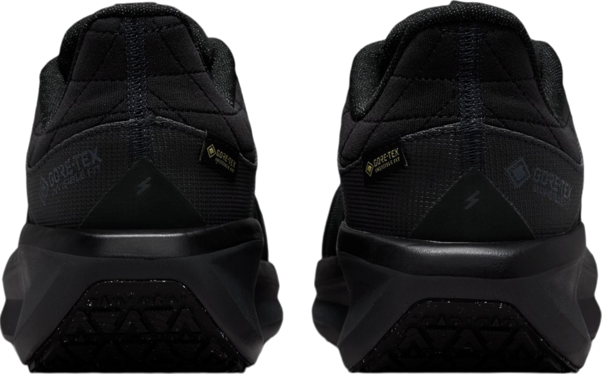 Sneakers och skor Nike Winflo 11 GORE-TEX Svart | fq1359-001, 1