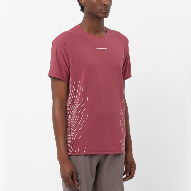T-shirt Salomon Sense Aero Graphic T-Shirt Röd | LC2700000