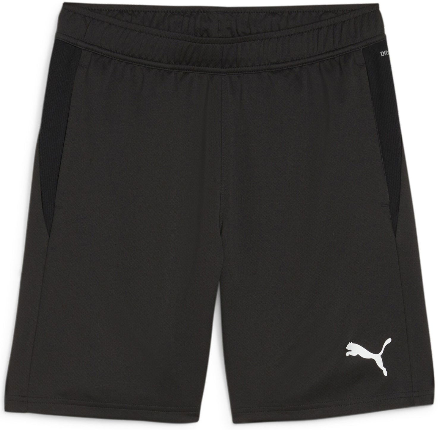 Shorts Puma teamGOAL Training Short Svart | 658643-03, 0