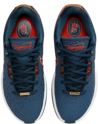 Sneakers och skor Nike LeBron XXI SE Blå | FV3606-400, 3