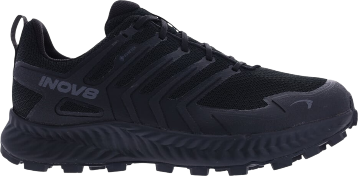 Sneakers och skor inov-8 INOV-8 Roclite Gtx Svart | 001287-bkdg-w-001, 0