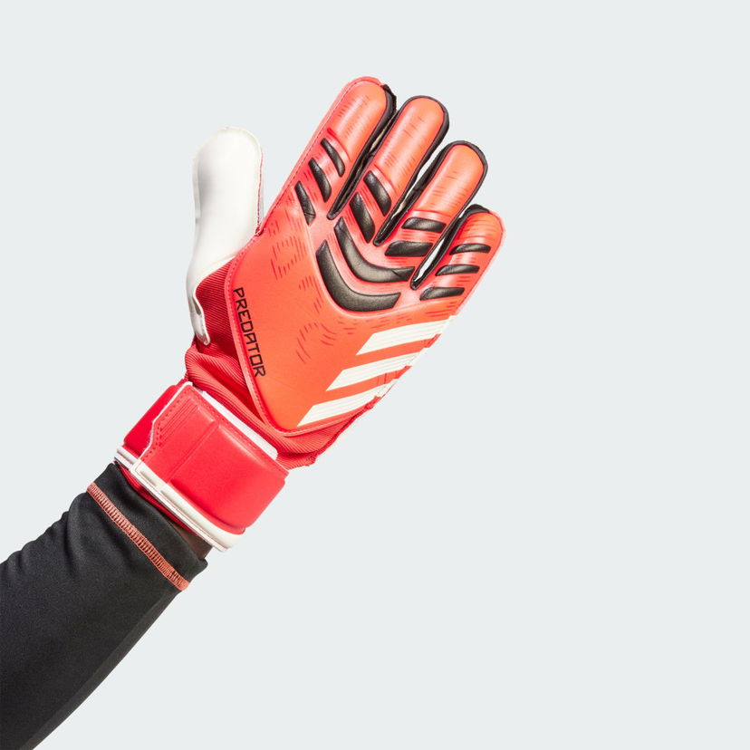 Handskar adidas Performance Predator Match Goalkeeper Gloves Röd | JH3801