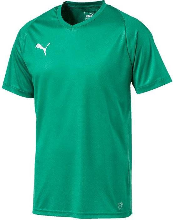 Jersey Puma Liga Core Jersey Grön | 703509-05, 0