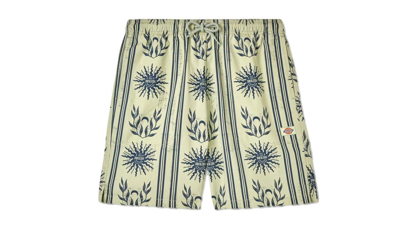 Shorts Dickies Kelso Short Flerfärgad | DK0A4XNDC34, 1
