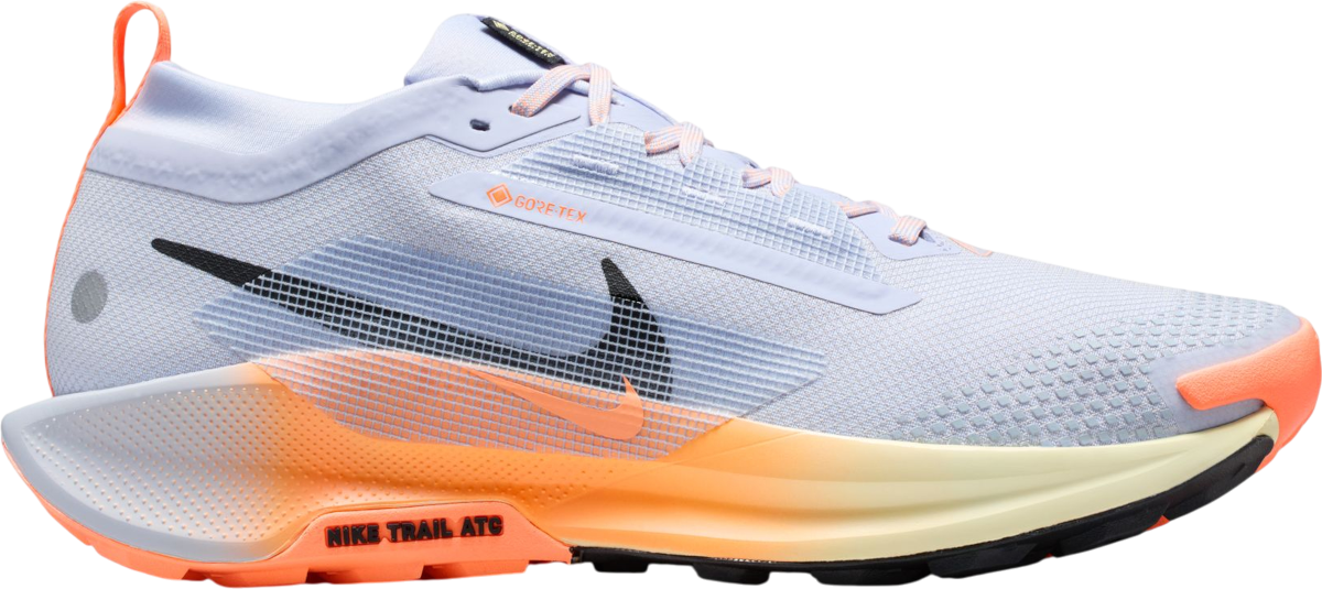 Sneakers och skor Nike Pegasus Trail 5 GORE-TEX Flerfärgad | fq0908-011, 0