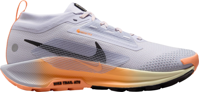 Sneakers och skor Nike Pegasus Trail 5 GORE-TEX Flerfärgad | fq0912-011