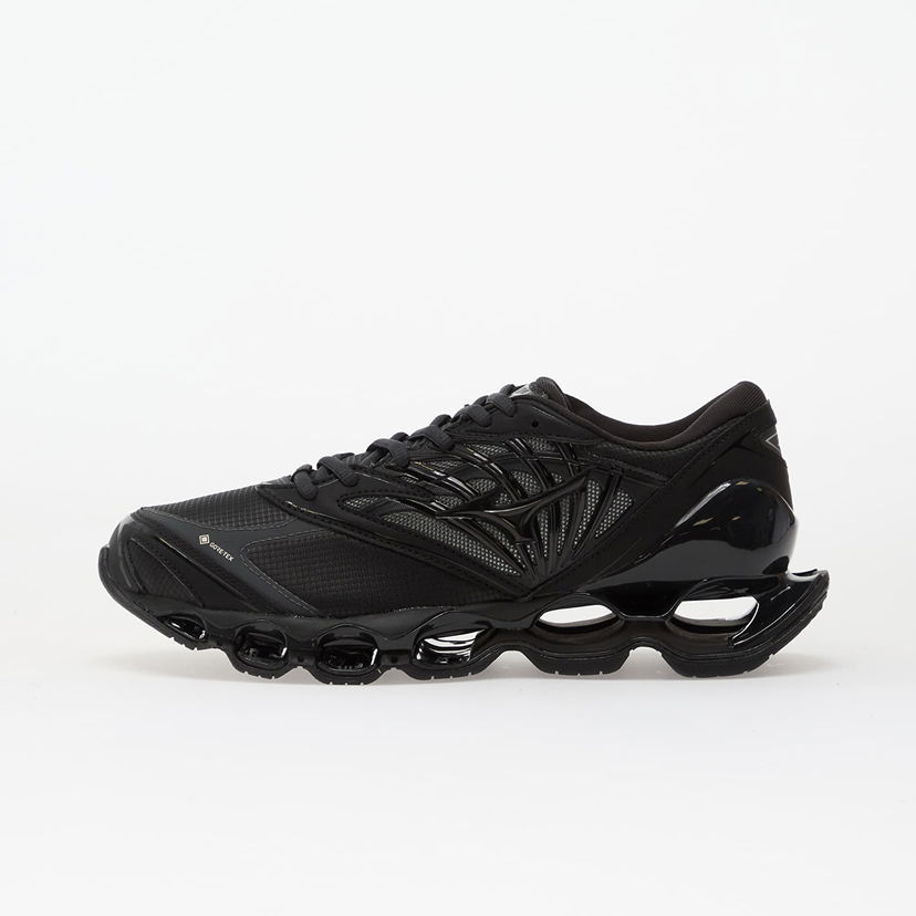 Sneakers och skor Mizuno Wave Prophecy Ls Gtx Svart | D1GA256001