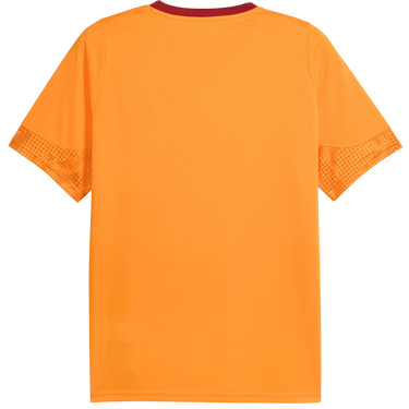Jersey Puma Galatasaray Istanbul Training Jersey Orange | 949105-006, 1