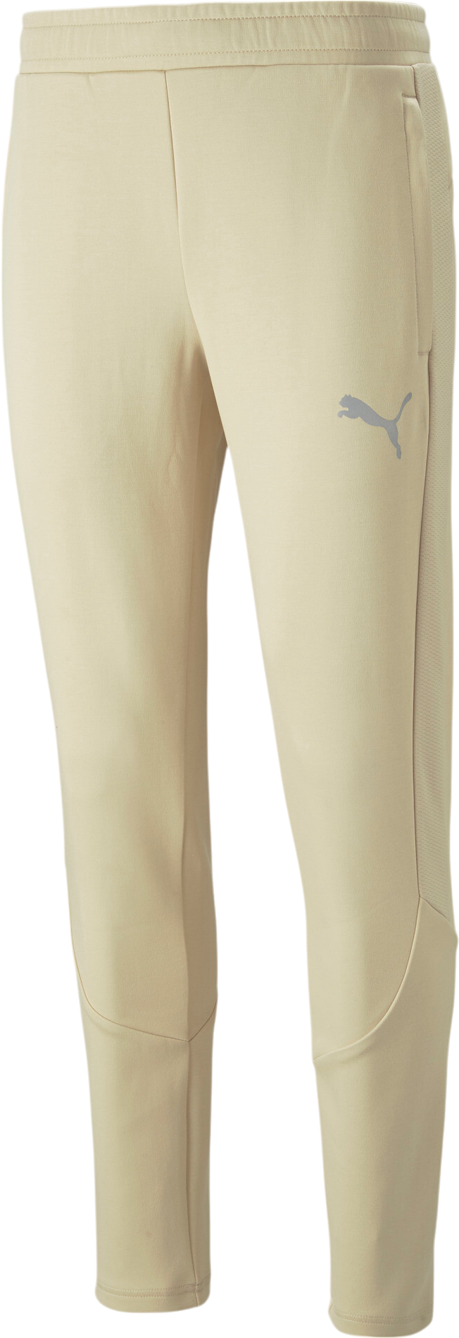 Träningsbyxor Puma Puma EVOSTRIPE Pants Beige | 673315-088
