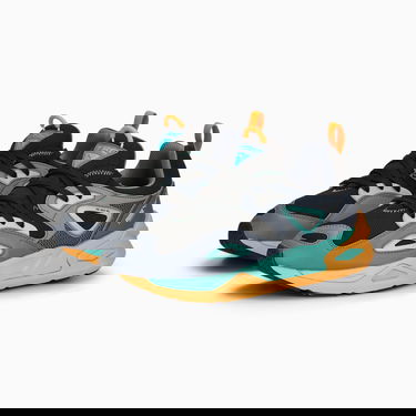 Sneakers och skor Puma Trinomic Blaze SPXP Grå | 390157_01, 2