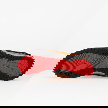 Sneakers och skor Nike Dunk Low Gtx Brun | HQ2053-700, 1