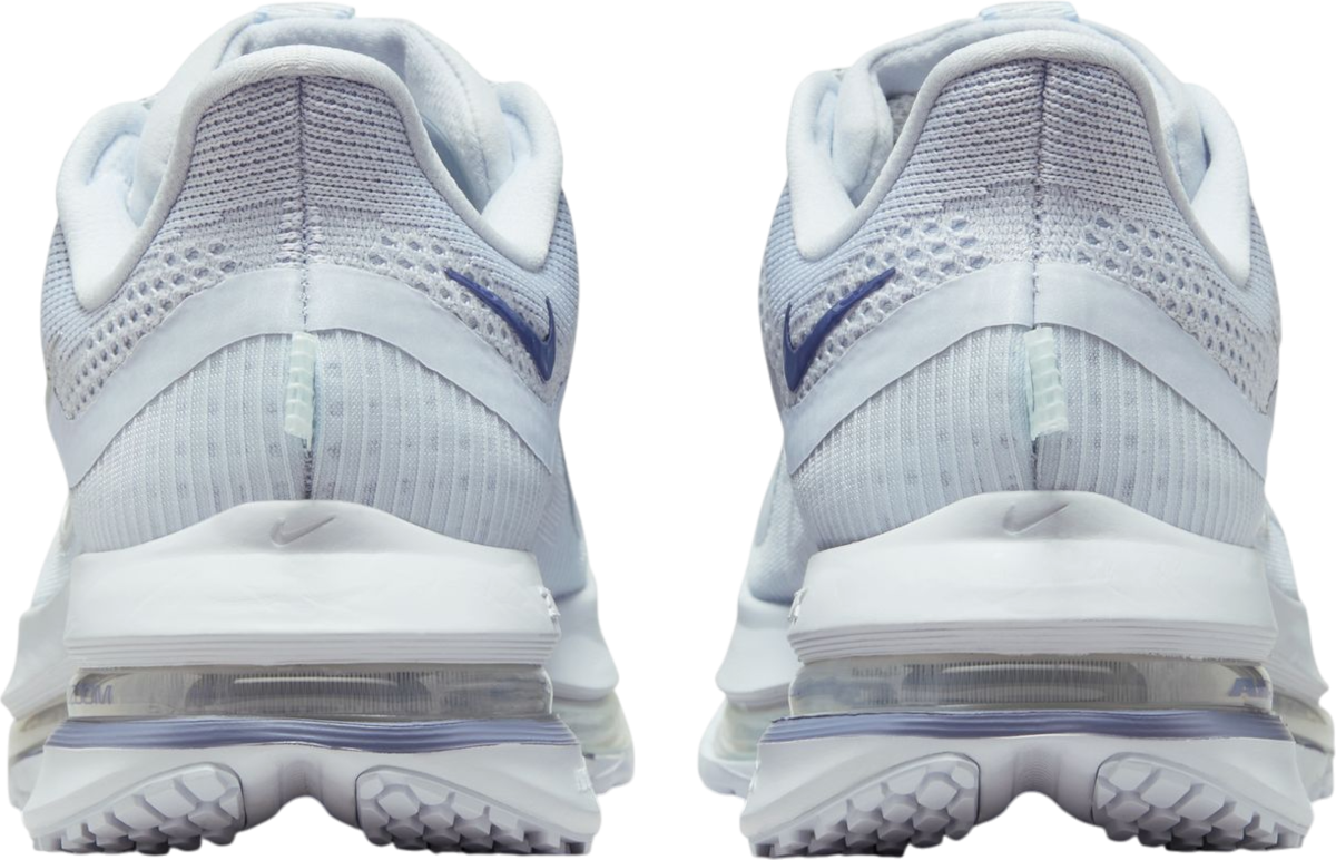 Sneakers och skor Nike Pegasus Premium Blå | hq2593-006, 1