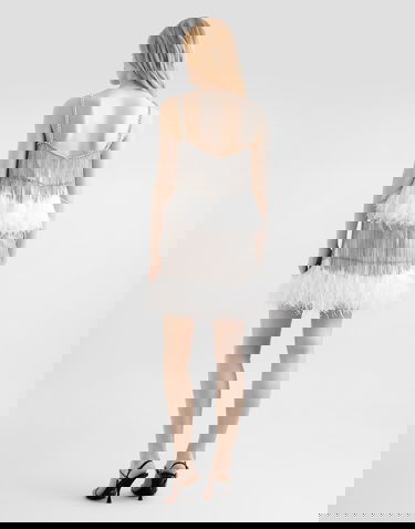 Klä Dolce & Gabbana Dolce & Gabbana Satin and Feather Mini Dress with Crystal Fringe Vit | F60FHZGDDI6G1012, 2