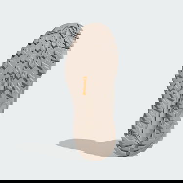 Sneakers och skor adidas Performance Terrex Free Hiker 2 Cold.Rdy Svart | IH5537, 2