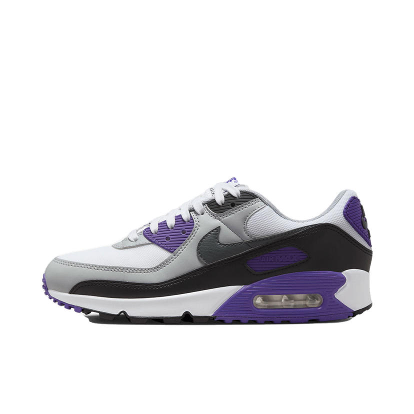 Sneakers och skor Nike Air Max 90 NN Purpur | DH8010-110