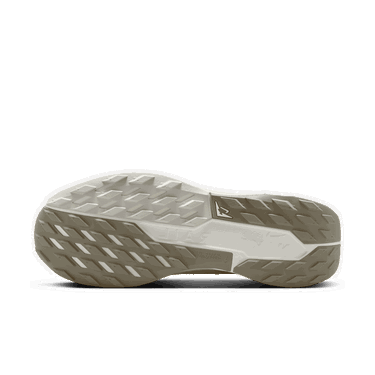 Sneakers och skor Nike Pegasus Trail 5 GORE-TEX Beige | FQ0908-008, 3