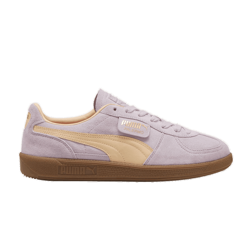 Sneakers och skor Puma Palermo Purpur | 396463-06