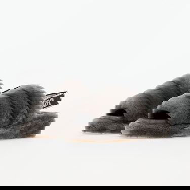 Sneakers och skor UGG Fluff Yeah "Charcoal" W Grå | 1095119-CHRC, 5
