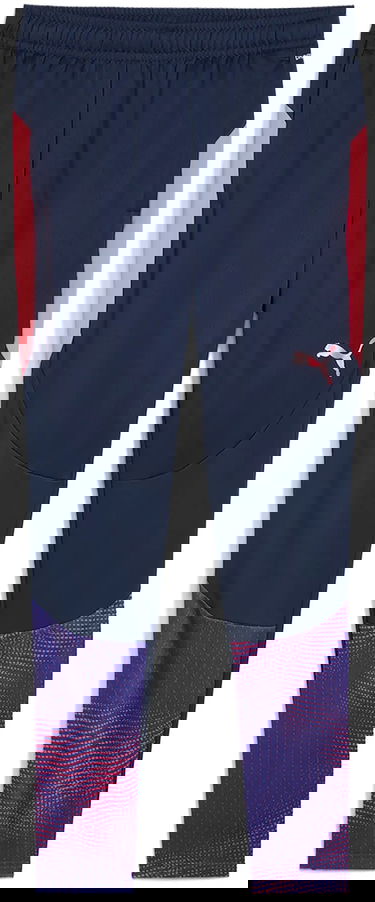 Träningsbyxor Puma Training Pants Blå | 659585-01, 0