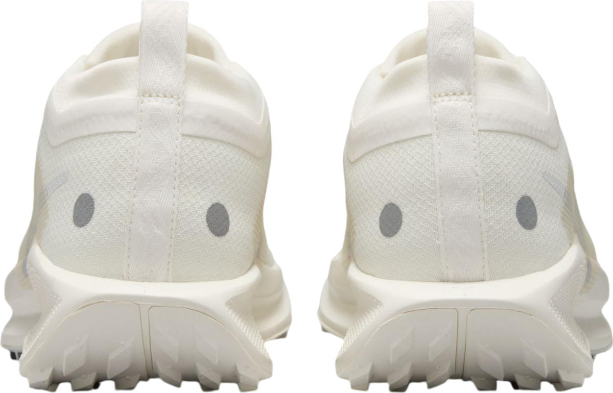 Sneakers och skor Nike Pegasus Trail 5 GORE-TEX Beige | fq0912-102, 1