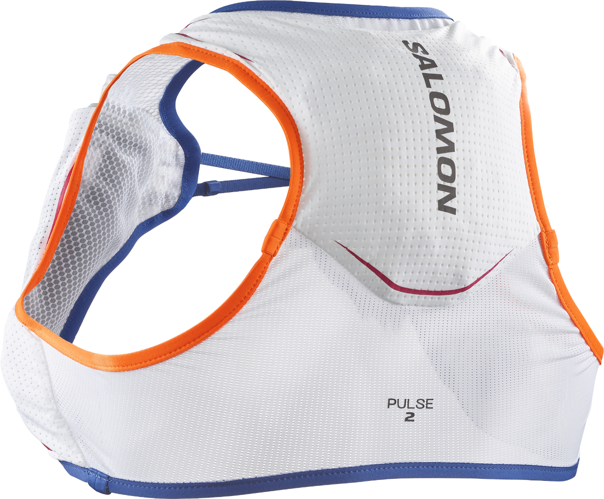 Ryggsäck Salomon PULSE 2 SET Grå | lc2176900, 0