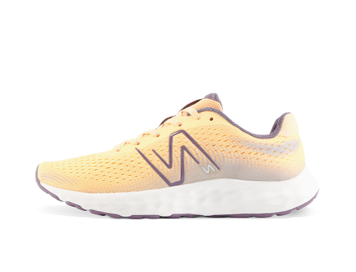 Sneakers och skor New Balance 520 Orange | W520FT8
