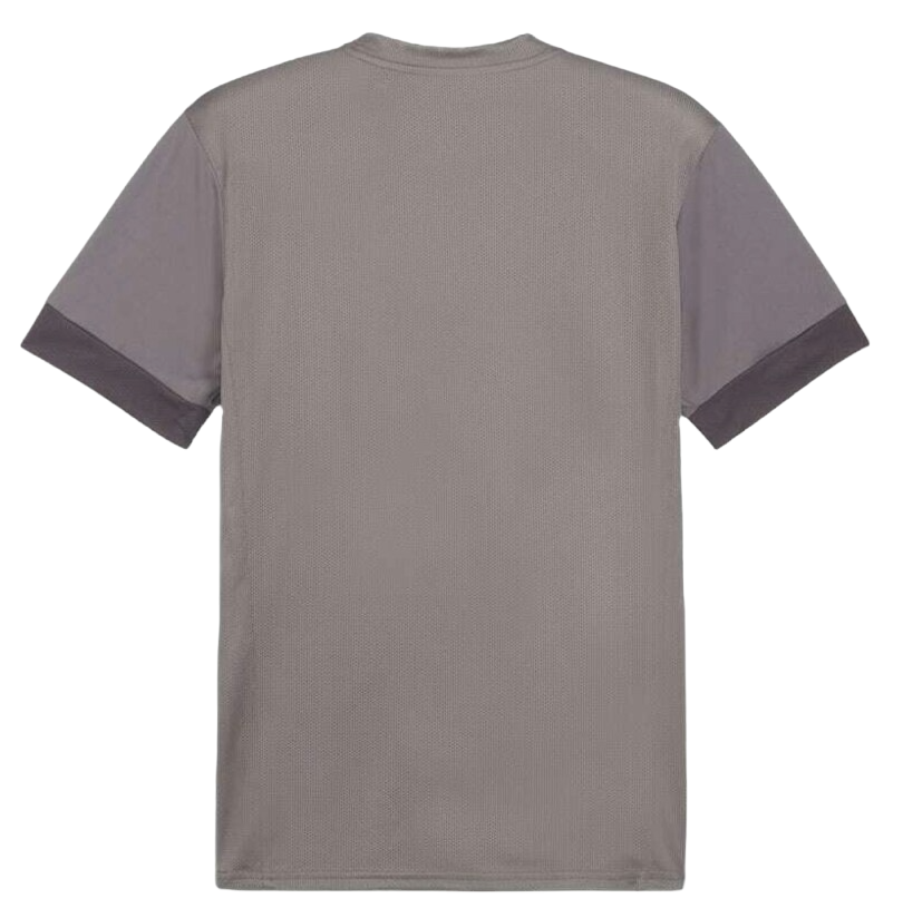 Jersey Puma teamGOAL Matchday Jersey Grå | 705747-13, 1