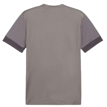Jersey Puma teamGOAL Matchday Jersey Grå | 705747-13, 1