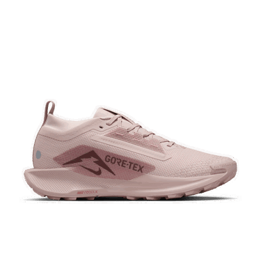 Sneakers och skor Nike Pegasus Trail 5 GTX Rosa | FQ0912-601, 1