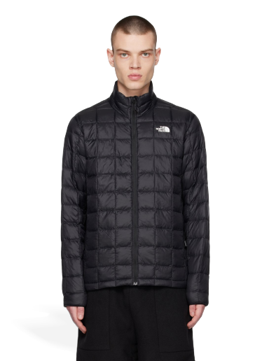 Jacka The North Face Eco Jacket Svart | NF0A5GLL