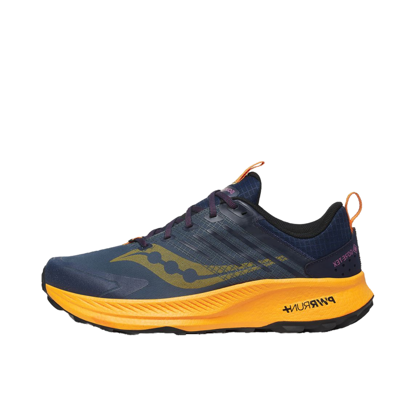 Löpning Saucony Ride TR2 GTX Blå | S20953-251