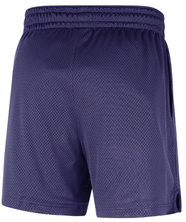 Shorts Nike PHOENIX SUNS NBA MESH SHORTS Purpur | FV2005-566, 2