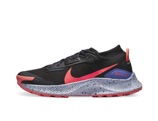Löpning Nike Pegasus Trail 3 GTX W Svart | dc8794-002