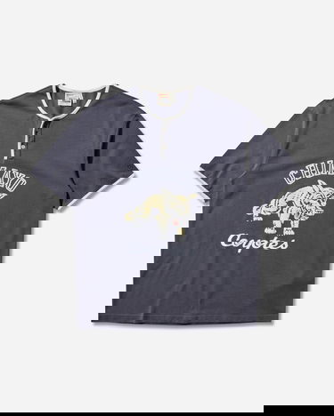 T-shirt Champion Index and Archives Sunset Chimayo Coyotes Graphic Henley T-Shirt with Contrast Trim Grå | 221839 ES524, 0