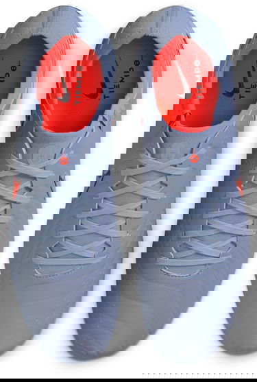 Sneakers och skor Nike LEGEND 10 PRO FG Grå | dv4333-402, 7