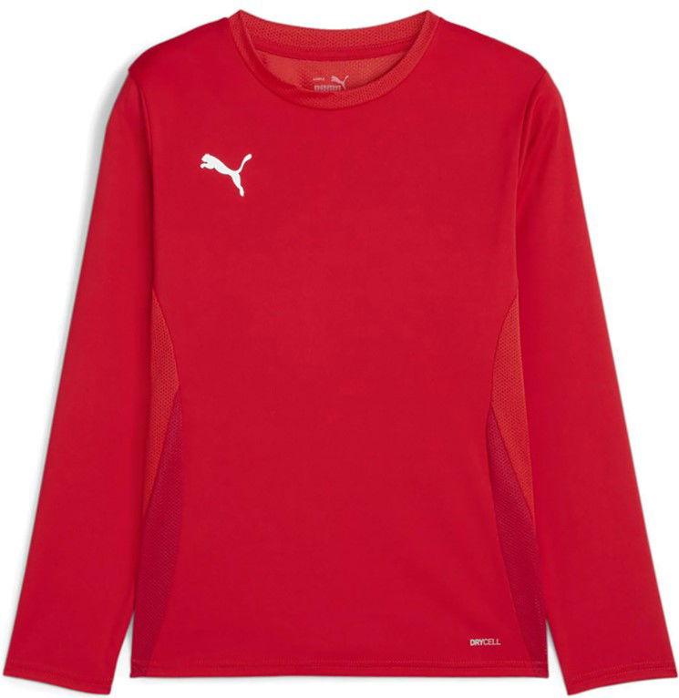 Jersey Puma teamGOAL LS Jersey Jr Long Sleeve T-Shirt Röd | 705751-01
